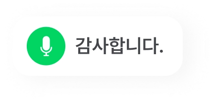 보이스챗